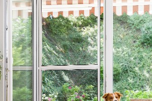 galerie/schwingtueren/